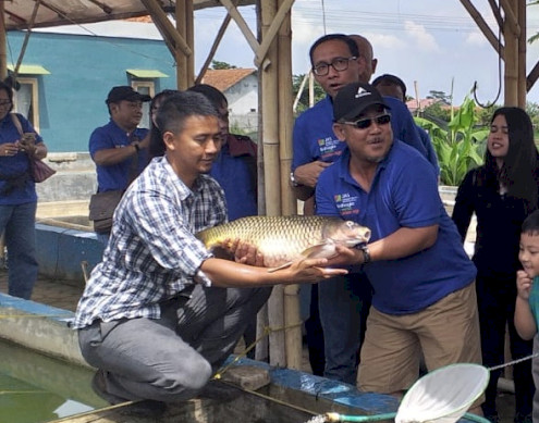 Pelatihan budidaya ikan mas