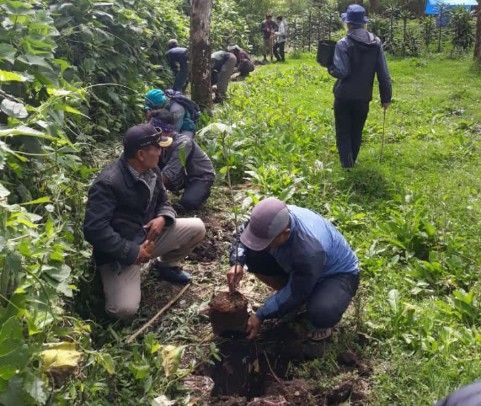 Penggiat dan Pecinta Alam FKPA Kab Bandung saat menanam pohon endemik di kawasan Ranca Upas Ciwidey Kab Bandung, 18/3.